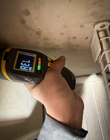 what kills mold permanently