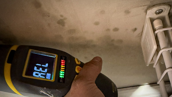 what kills mold permanently