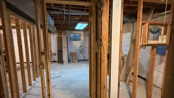 What Kills Mold Permanently? DIY vs Professional Options Explained