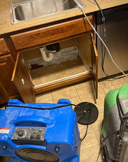 When to Call a Mold Remediation Professional