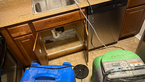 When to Call a Mold Remediation Professional