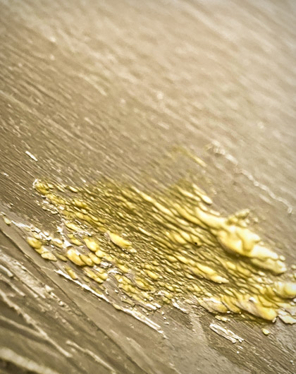 Yellow slime mold spreading across a damp surface