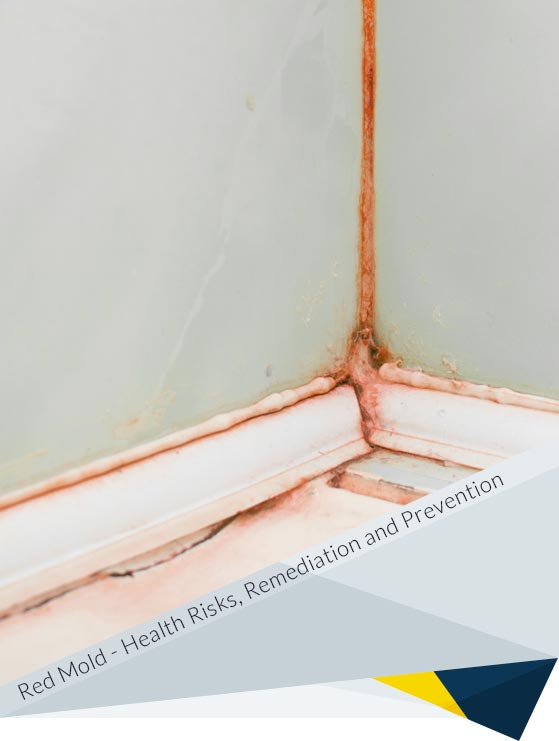 Red Mold: Types, Health Risks, Remediation and Prevention