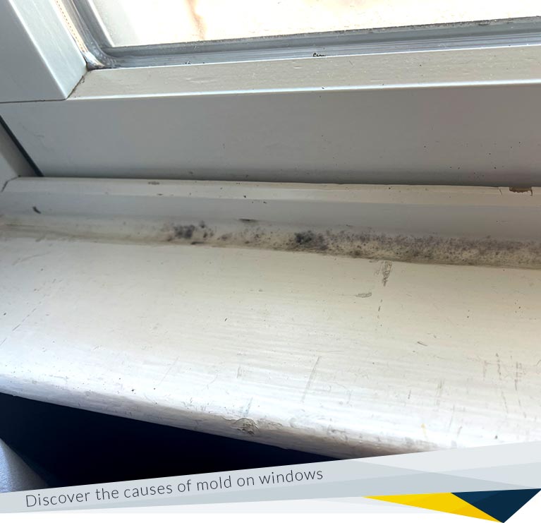 Mold on Windows: Causes and Prevention Tips