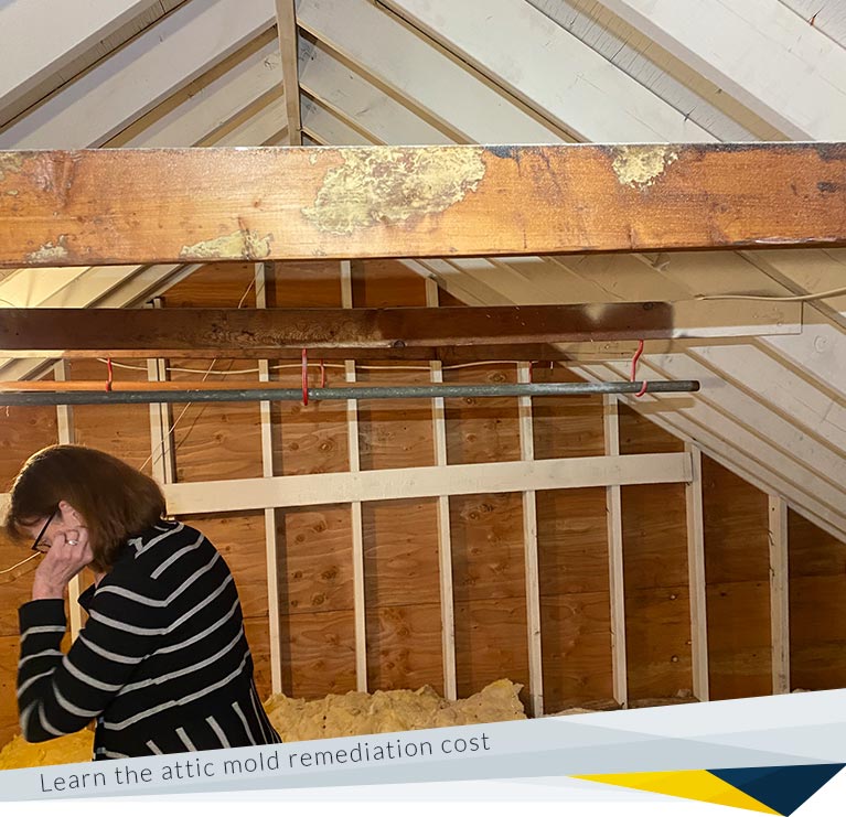 Attic Mold Removal: Cost Factors for Attic Mold Remediation