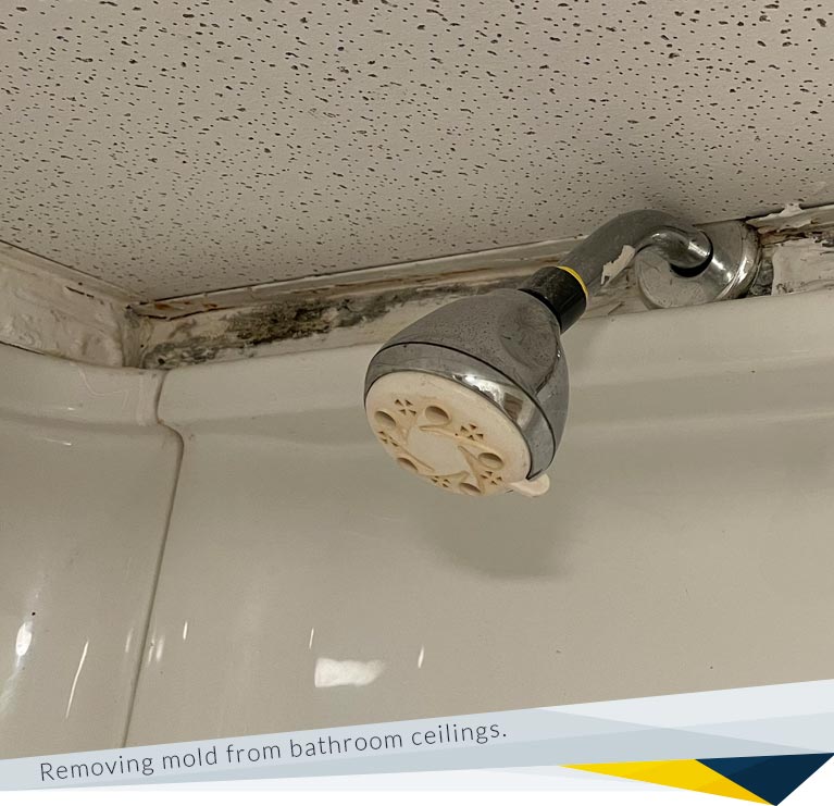 How to Remove Mold from Bathroom Ceilings