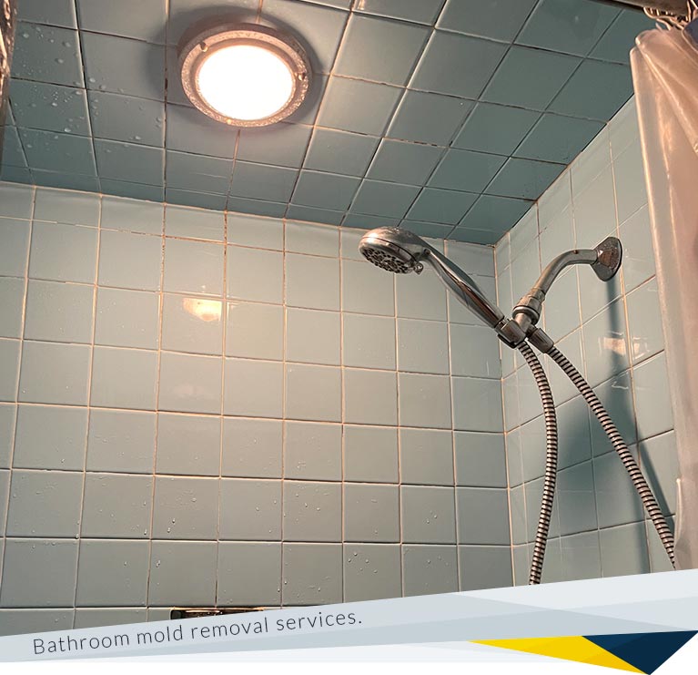 Why Should You Consider Professional Bathroom Mold Removal Services