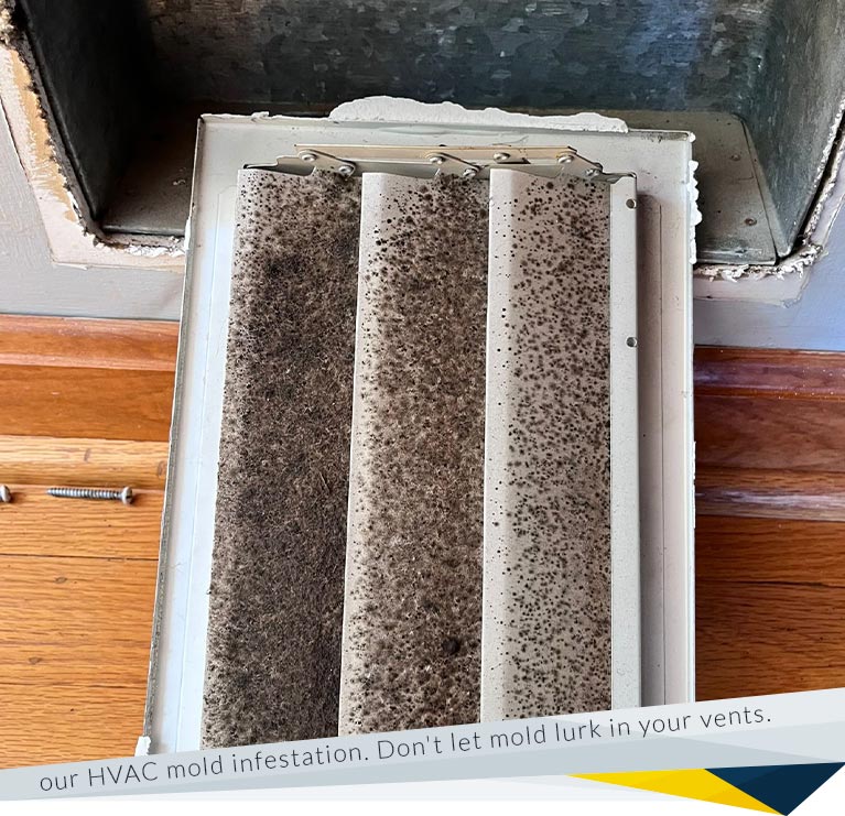 How to Remove Mold from HVAC