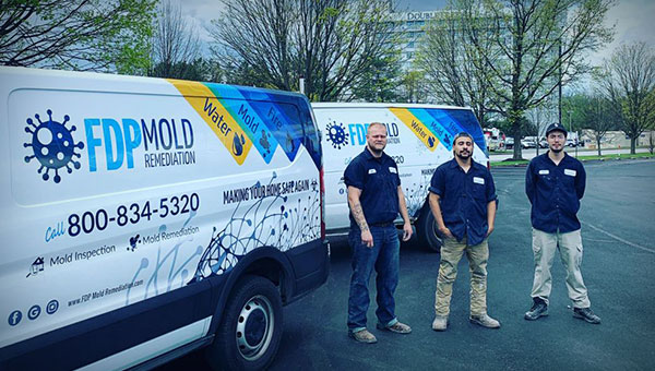 How to Select the Best Companies That Get Rid of Mold
