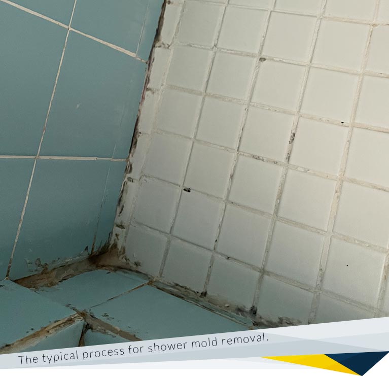 What is the Typical Process for Shower Mold Removal Services