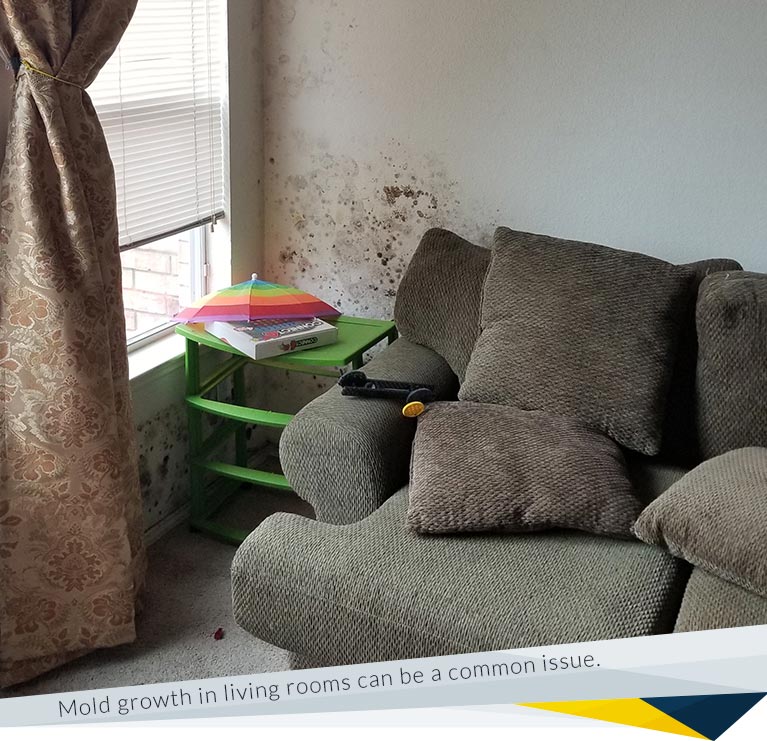 How Dangerous Is Mold in My Living Room?
