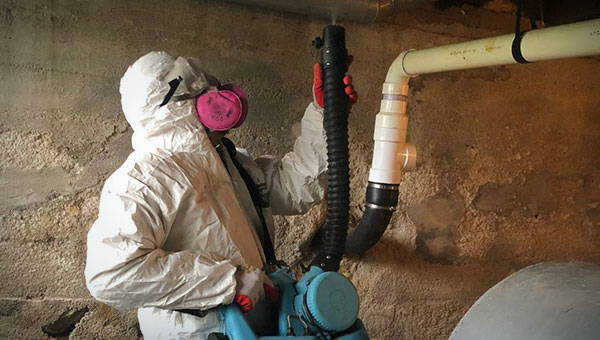 Personal Protective Equipment for Mold Removal