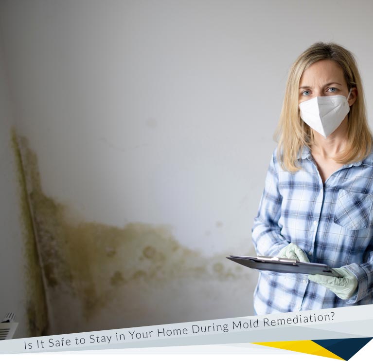 Is It Safe to Stay in Your Home During Mold Remediation?