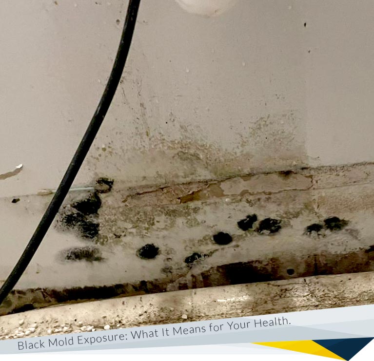 The Health Impacts of Black Mold