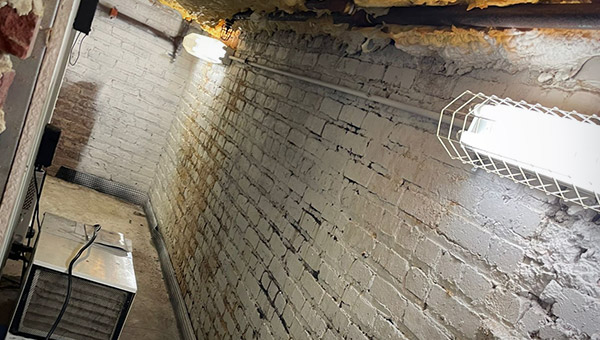 Basement Mold: How to Identify, Remove, and Prevent It
