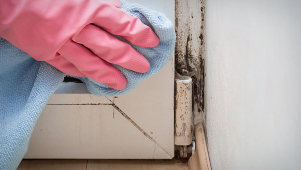 How Effective Is Alcohol for Mold Removal?