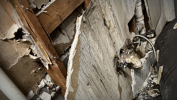 Drywall Mold: Professional Mold Remediation Services