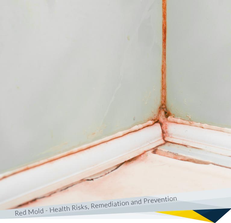 Red Mold: What You Need to Know