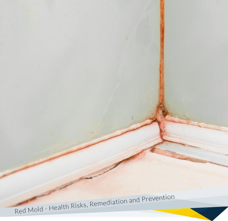 Red Mold: Types, Health Risks, Remediation and Prevention