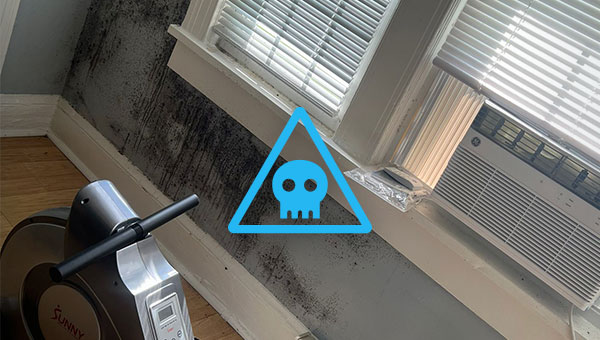 Mold Risk Across American States
