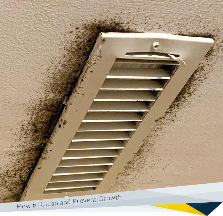 Mold in Air Conditioner: How to Clean and Prevent Growth