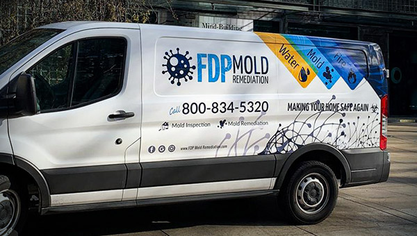 Recent Mold Remediation Projects