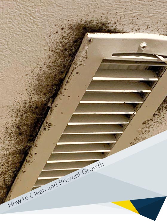 Mold in Air Conditioner: How to Clean and Prevent Growth