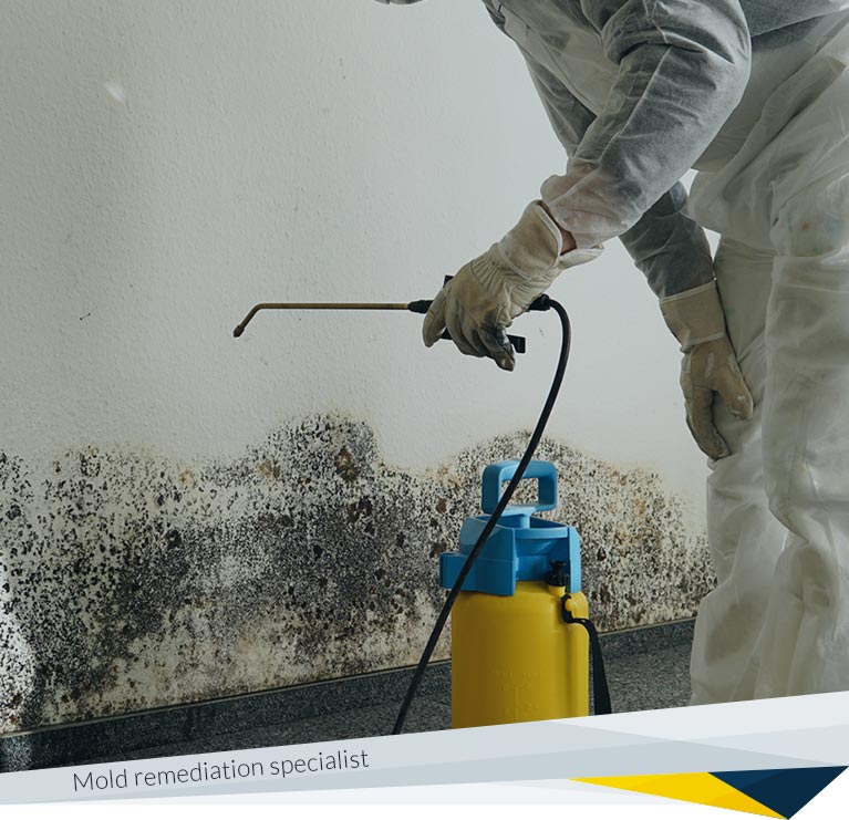 Mold Remediation Specialist
