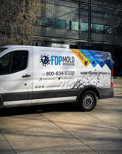 Recent Mold Remediation Projects