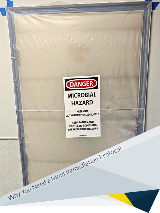 Why You Need a Mold Remediation Protocol to Defeat Mold