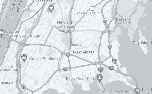 FDP Mold Remediation of Bronx