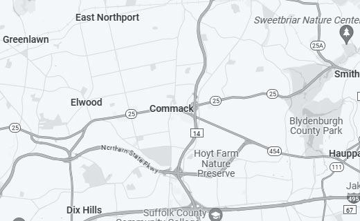 FDP Mold Remediation of Commack