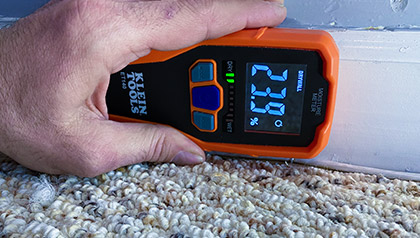 mold inspection service