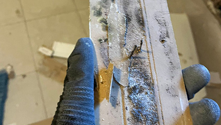 After Visual Mold Inspection