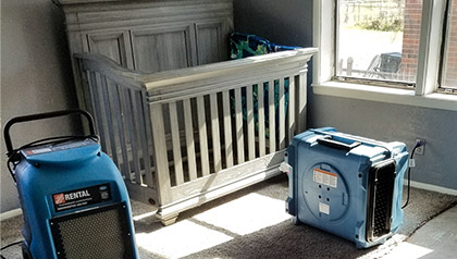 mold remediation service