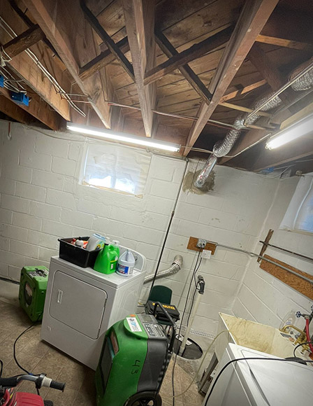 Mold Removal Process
