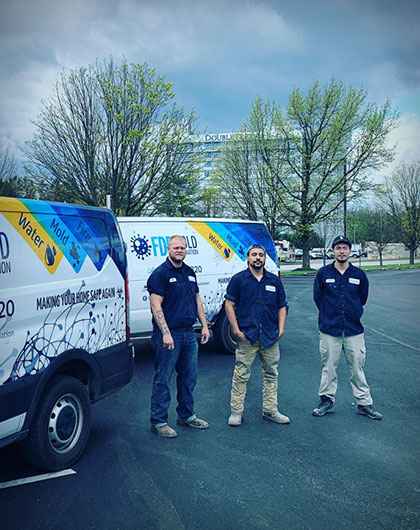Licensed, Certified & Insured Mold Remediation Specialists