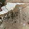 Water Damage Restoration in Washington, DC