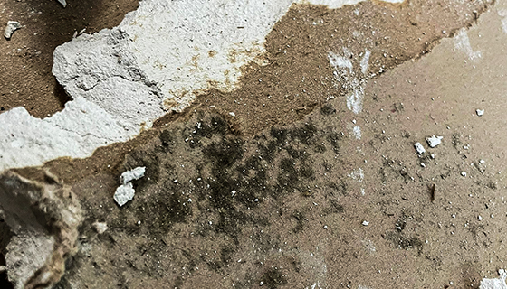Water Damage Restoration in Washington, DC