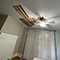 Water Damage Restoration in Washington, DC