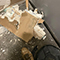 Water Damage Restoration in Washington, DC