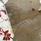 Water Damage Restoration in Washington, DC