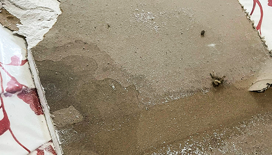 Water Damage Restoration in Washington, DC