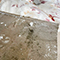 Water Damage Restoration in Washington, DC