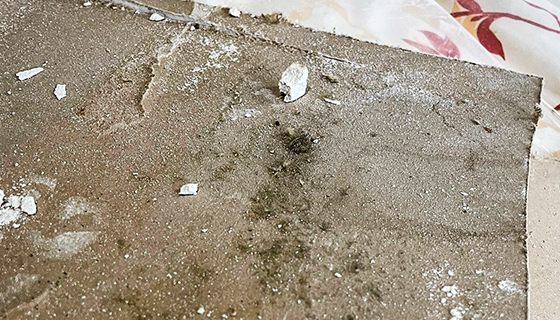 Water Damage Restoration in Washington, DC