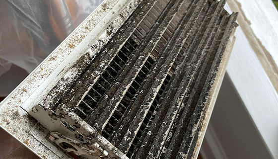 Water Damage Restoration in Washington, DC
