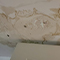 Water Damage Restoration in Baltimore, MD