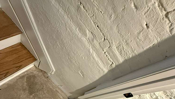Basement Mold Remediation in Baltimore, MD