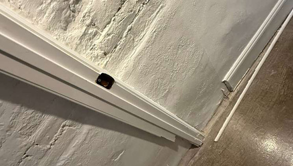 Basement Mold Remediation in Baltimore, MD