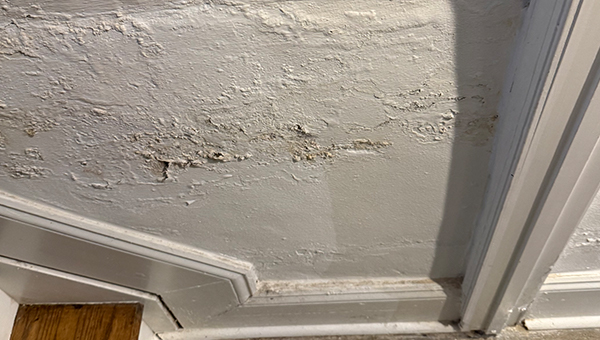 Basement Mold Remediation in Baltimore, MD